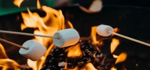 Complete Guide to What Food to Take Camping without Fridge