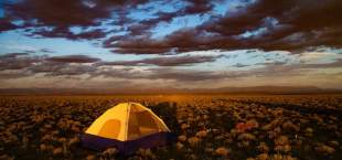 Best Wild Camping Tent - 11 for Your Outdoor Adventures