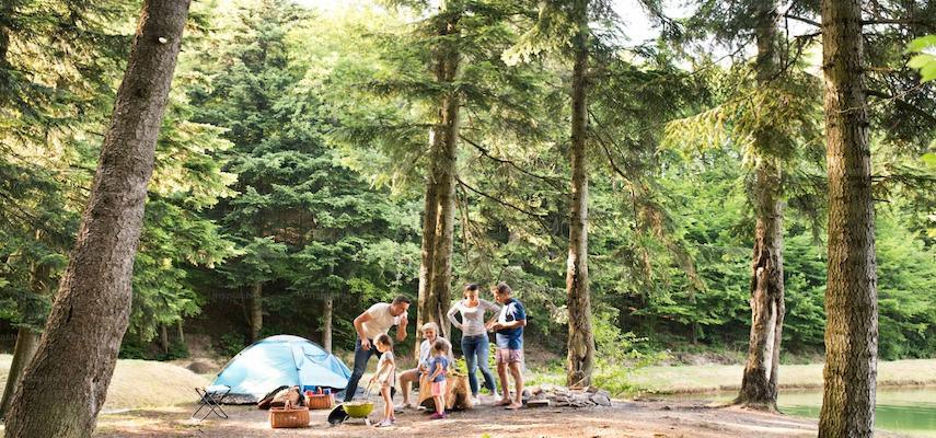 Camping in the Woods - Top 10 Campgrounds, Essential Gear and Tips