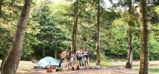 Camping in the Woods - Top 10 Campgrounds, Essential Gear and Tips