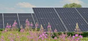 Solar Panel Basics: A Detailed Guide to Harness Sustainable Energy