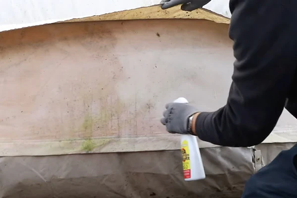 spraying-mold-remover