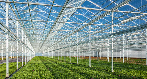 Solar Panel Greenhouse