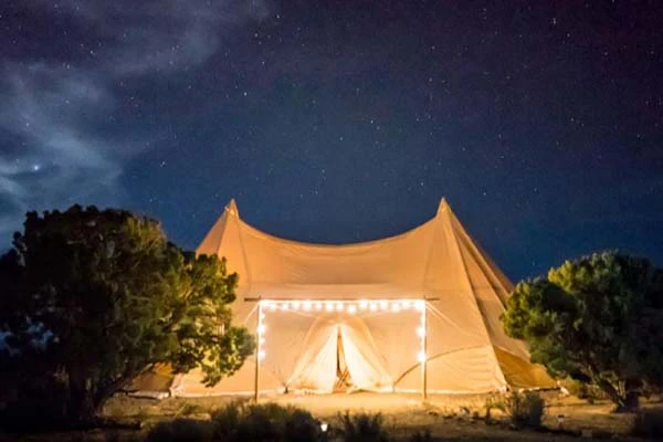 camping-under-star
