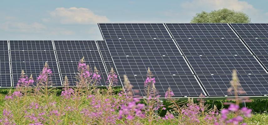 solar-panel