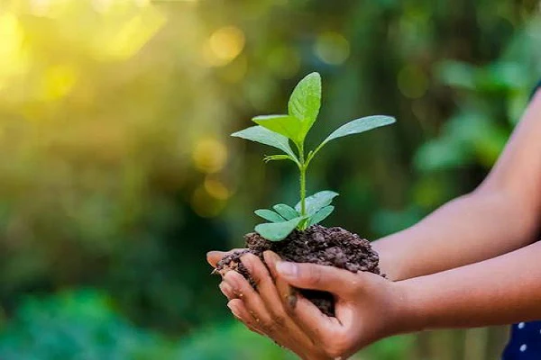 preservation-of-ecosystems