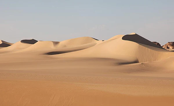 great-sand-dunes-oasis