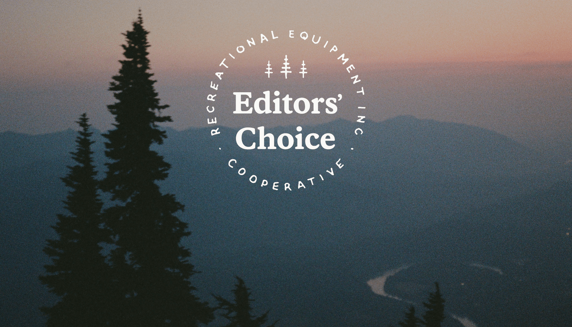 Story Export Editors Choice