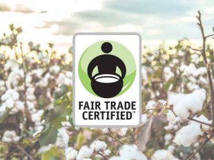 Fair Trade Food and Clothing Basics