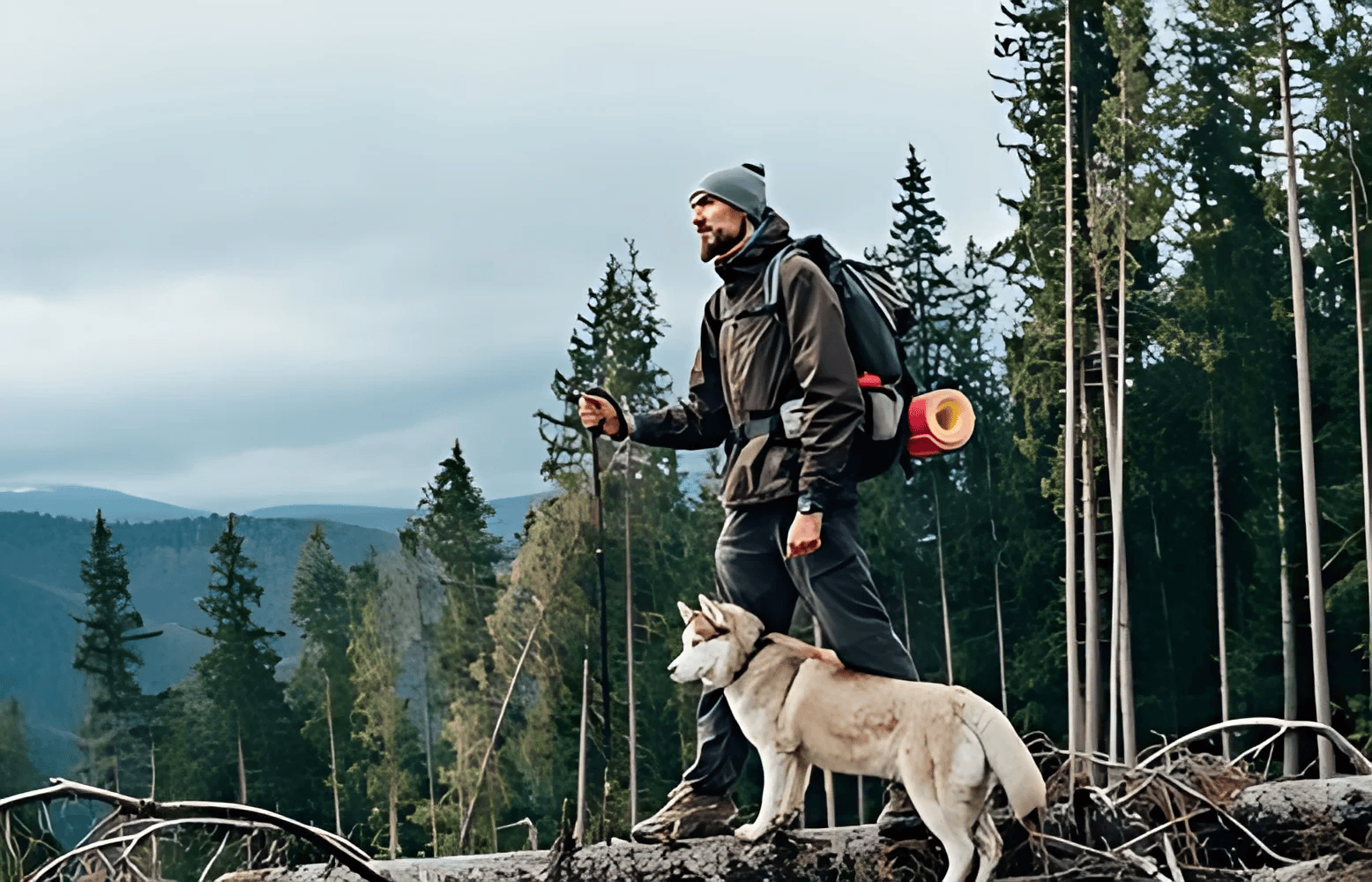 Animal Welfare and Outdoor Gear