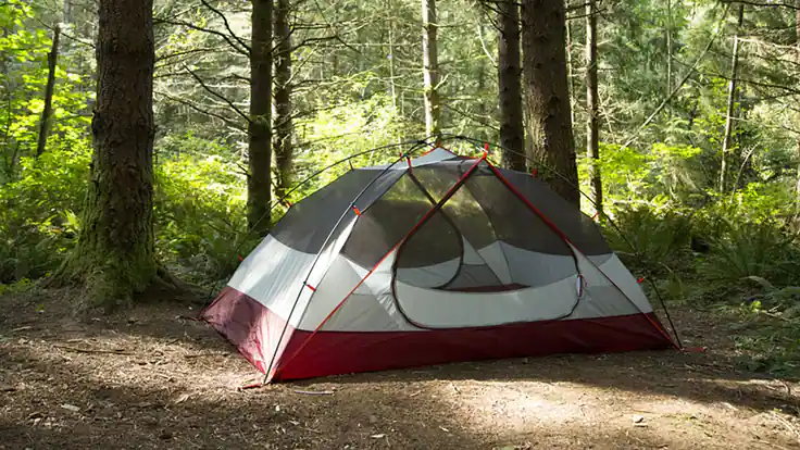 Tent Care Basics