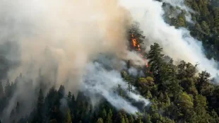 Conseils de sécurité en cas d’incendie de forêt pour les loisirs en plein air